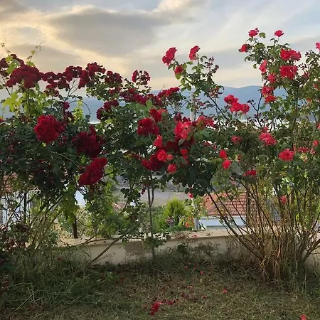 Villa Athina ,pronamic Seaview And Cosy Garden Mugla