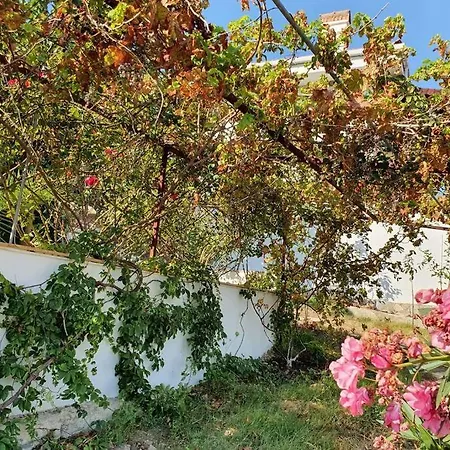Athina ,pronamic Seaview And Cosy Garden * Muğla