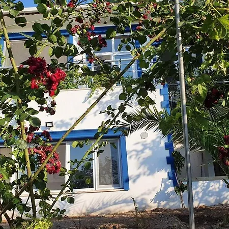 Athina ,pronamic Seaview And Cosy Garden *