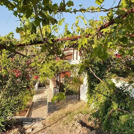 Athina ,pronamic Seaview And Cosy Garden Villa